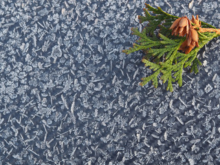 On a black background beautiful crystals of frost pattern, coniferous branches and cones. Magnificent iced ornament hoarfrost decoration and design.