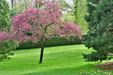 Poissy, France - april 16 2018 : Meissonier park in spring