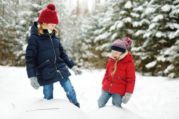 Two adorable young girls having fun together in beautiful winter park. Cute sisters playing in a snow.