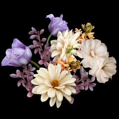 Floral arrangement, bouquet of garden flowers. Purple tulip, dahlia, hyacinth, white roses  isolated on black background. Can be used for your projects, wedding  invitations, greeting cards.