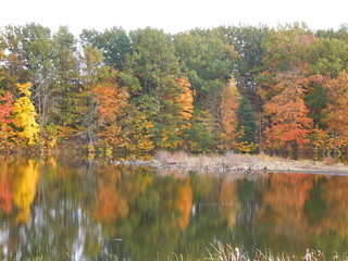 Obraz premium Mirror Mirror on the lake