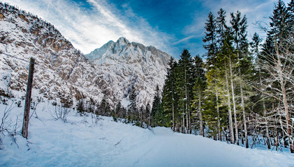 Snowy Tamar valley in Slovenia