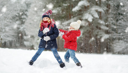 Fototapeta na wymiar Two adorable young girls having fun together in beautiful winter park. Cute sisters playing in a snow.
