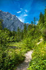 Logar valley in summer, Slovenia