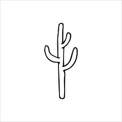 Hand drawn cactus isolated on a white background. Vector illustration