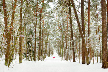 Adorable little girl having fun in beautiful winter forest. Happy child playing in a snow.