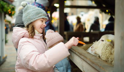 Fototapeta premium Two cute young sisters having fun feeding sheep in a small petting zoo on traditional Christmas market in Riga, Latvia. Happy winter activities for kids.