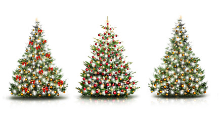 Drei Weihnachtsbäume