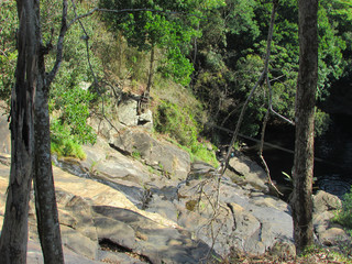 Forest view in guaramiranga valley