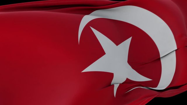 Flag bearing the symbol of Islam slowly waving. Includes alpha Matte.