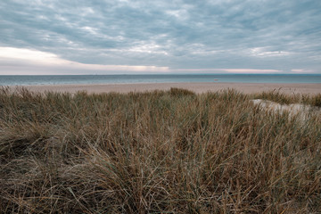 Fototapeta premium Dunes on the beach in Hel