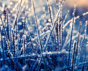 natural background with grass covered with transparent ice crystals and frost glistening and shimmering in the light of the morning sun
