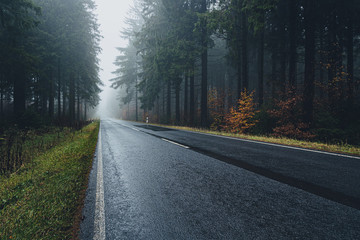 Fototapeta premium foggy and wet forest road