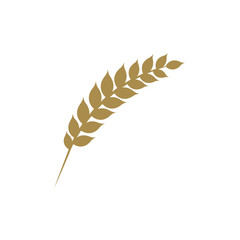 Wheat and barley ears vector illustration