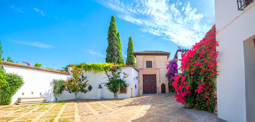 Colorful street with typical houses in Cordoba old town. Andalusia, Spain