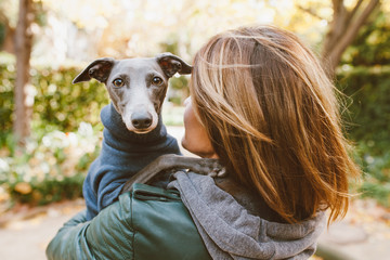 Woman is holding in hands and hugging Italian greyhound puppy. Dog is feeling happy with the owner. Selective focus, natural light.