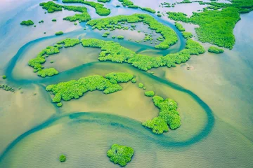 Gordijnen Senegal-mangroven. Luchtfoto van mangrovebos in het Saloum Delta National Park, Joal Fadiout, Senegal. Foto gemaakt door drone van bovenaf. Afrika natuurlijk landschap. © Curioso.Photography
