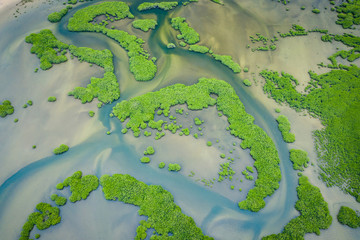 Senegal Mangroves. Aerial view of mangrove forest in the  Saloum Delta National Park, Joal Fadiout,...