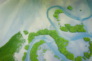 Senegal Mangroves. Aerial view of mangrove forest in the  Saloum Delta National Park, Joal Fadiout,...