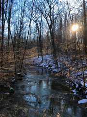sunset in the winter forest