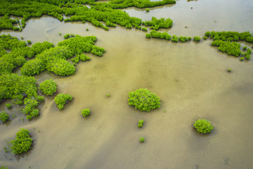 Senegal Mangroves. Aerial view of mangrove forest in the  Saloum Delta National Park, Joal Fadiout, Senegal. Photo made by drone from above. Africa Natural Landscape.