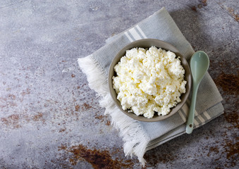 Farmer's cheese or cheese curd