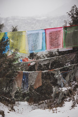 Prayer Flags with Snow