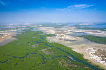Senegal Mangroves. Aerial view of mangrove forest in the  Saloum Delta National Park, Joal Fadiout,...