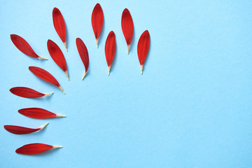 Creative background with red flower petals on blue pastel background, copy space. Spring concept. Greeting card for Womens Day, Mothers Day, Valentine's Day, wedding, birthday. Flat lay, top view