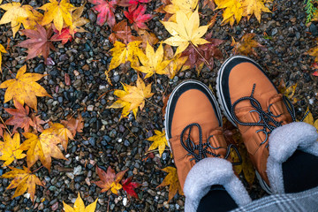 Fall, autumn, leaves, legs and shoes. Conceptual image of legs in boots on the autumn leaves. Feet shoes walking in nature