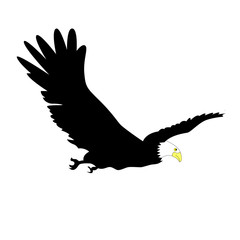 eagle for design vector like in the sky