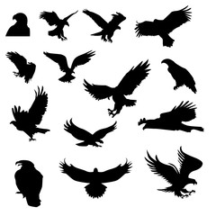 Hunting eagle detailed hunting vector silhouettes set isolated on white background