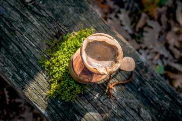 Coffee break with drip coffee on the forest, ground coffee on the filter paper and wood dripper