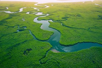 Fotobehang Afrika Gambia Mangroves. Aerial view of mangrove forest in Gambia. Photo made by drone from above. Africa Natural Landscape.  © Curioso.Photography