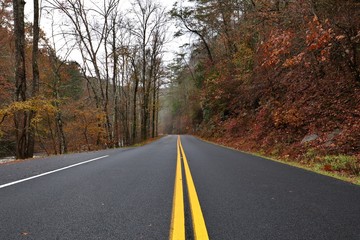 Fototapeta premium Autumn Road
