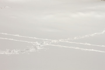 Steps and ski tracks on the snow