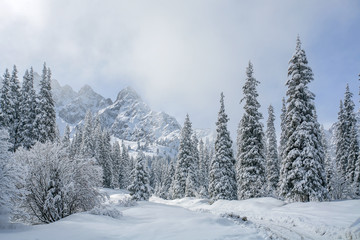 Fototapeta premium Allphotokz Tuyuk-Su 20060410 8629 5D