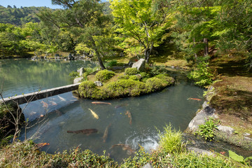 Water pond, tree with reflection in Japanese zen garden Kyoto Japan