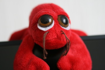 toy red shrimp with sad eyes