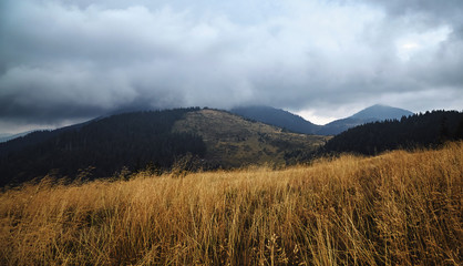 Fototapeta premium Mountains hills scenic view, autumn rural landscape with cloudy sky. Adventure, mountain hiking. Beautiful moody light. Travel concept. Panoramic view background