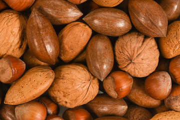 Nuts on white background