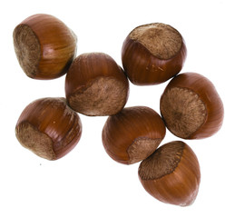 heap of hazelnuts isolated on white background