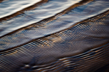 Shelling near the sea in the sand