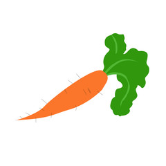 PrintCarrot icon in a flat design on a white background. Vector illustration
