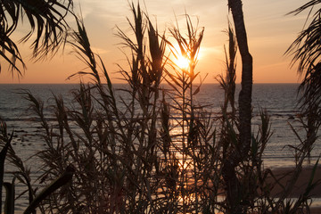 Atardecer