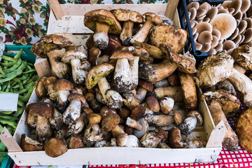 Mushrooms displayed on the market stall.