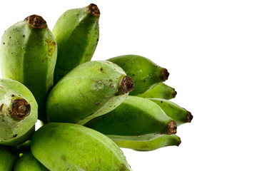 Bunch of organic raw green bananas. guineo, Musa acuminata isolated on white background. Tropical fruit Agriculture concept.