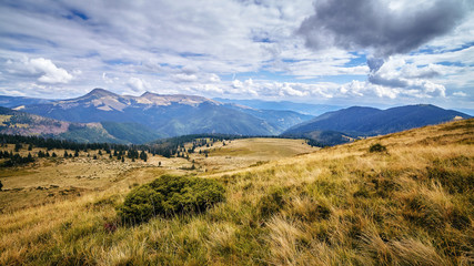 Obraz premium Panorama of hills with yellow grass scenic outdoor view, autumn rural landscape with cloudy sky. Adventure, mountain hiking. Beautiful moody light. Panoramic view background