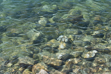 Fototapeta na wymiar Stones in a river under the water.
