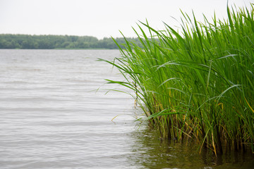 Obraz premium view of the Volga river from the shore